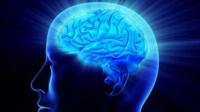 Alimlərdən beyin və sinir sistemi ilə bağlı unikal kəşf