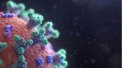 Bir nəfərdə 3-4 xərçəng növünün aşkarlanması adi hala çevrilib - Alimlər Covid-19-dan şübhələnir