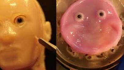 Alimlər insanabənzər robotlar üçün dəri hazırladılar - FOTO