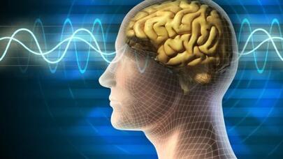 Tibbdə daha bir yenilik – İnsan beynindəki molekulların quruluşu müəyyən olundu