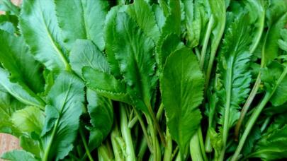 Siqaret çəkənlər bu göyərtini süfrədən əskik etməsin!