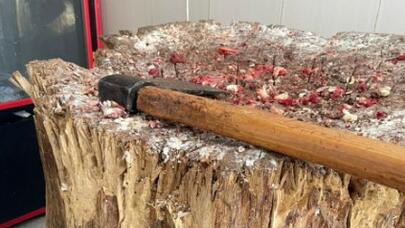 Ət satışı məntəqəsində ciddi nöqsanlar aşkarlandı - FOTOLAR