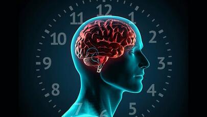 Necə edək ki, beynimiz saat kimi işləsin? - Popkovadan "QIZIL MƏSLƏHƏTLƏR"