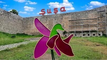 Bu şəxslər Qarabağa buraxılmayacaq - VİDEO