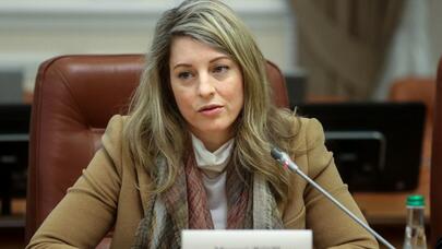 Geosiyasətin “yuyulmamış çömçələri” - Və ya Qərbin növbəti Don Kixotu