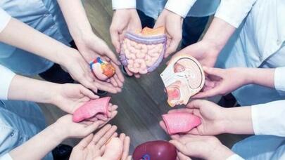 Azərbaycanda minə yaxın insan donor orqanı gözləyir - VİDEO