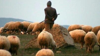 “Biz onu ölkəsinə qaytarmalıyıq” - Paşinyan həmin çobandan danışdı