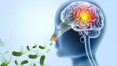 Bir həftəyə öldürür, sağ qalmaq möcüzədir - Dünyanı qorxuya salan təhlükə