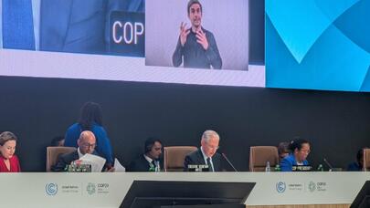 COP29 gündəliyi təsdiq edildi