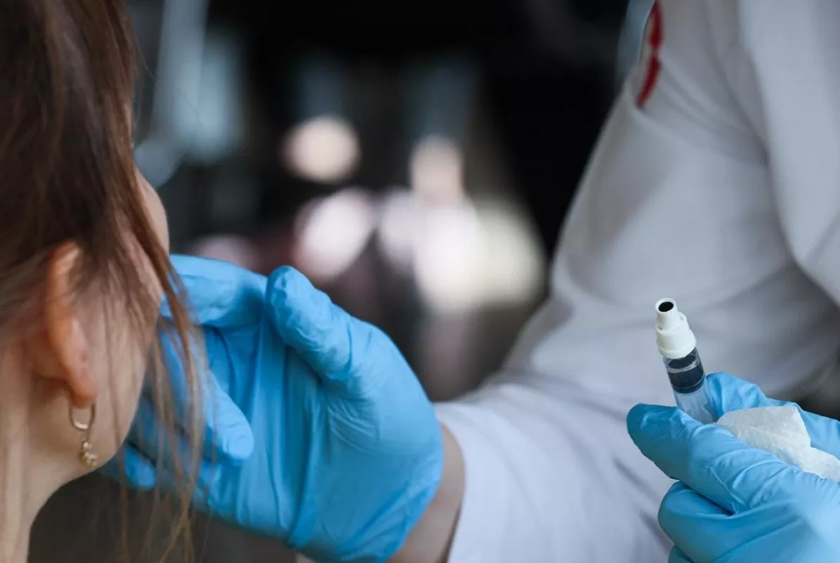 Qonşu ölkələrdə yayılan TƏHLÜKƏ: donuz qripi Azərbaycana da keçə bilər - VİDEO