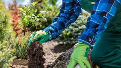 İki nəfər işçisi olan şirkətlə 2,6 milyon manatlıq müqavilə bağlandı