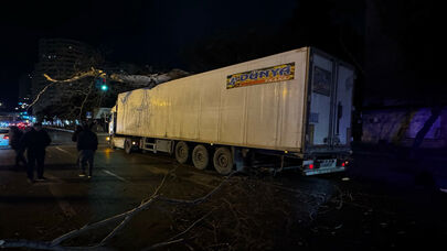 Bakıda yük avtomobili ağaca çırpıldı: bu yolda sıxlıq yarandı - FOTO
