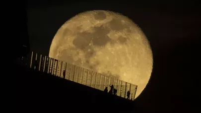 “Qar ayı”ndan möhtəşəm FOTOLAR