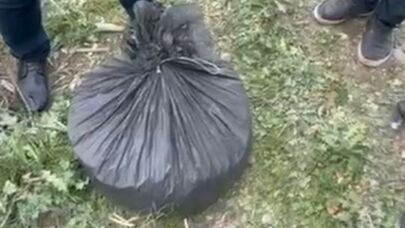 Əməliyyat keçirildi: 8 kiloqram narkotik aşkarlandı - Foto