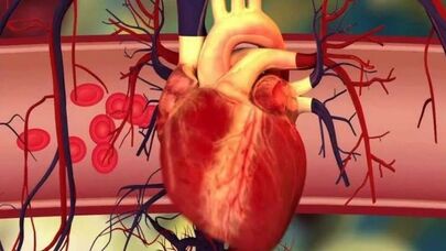 Orqanizmimizdəki gizli düşmən: Onun simptomları nələrdir?