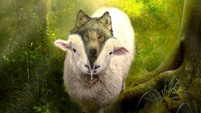 Quzu cildinə girmiş canavar - Məsum görünüşlü ən təhlükəli BÜRC