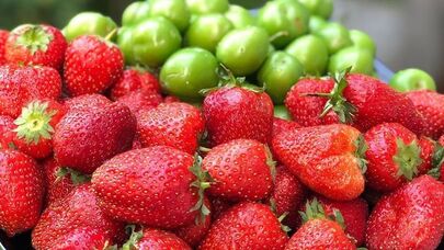 Çiyələk və alça bu il baha ola bilər - Səbəb