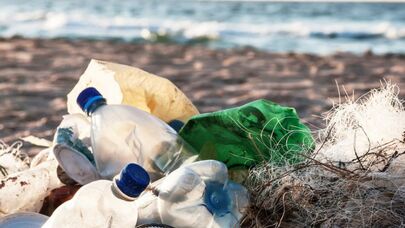 İnanılmaz kəşf: Okeanlarda plastik yeyə bilən göbələklər var