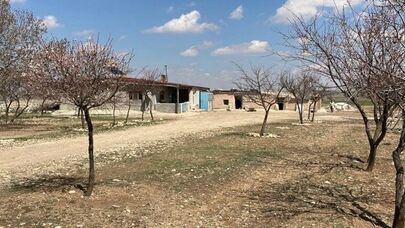 3 yaşlı qızını amansız şəkildə qətlə yetirmişdi: Sevdanın cəzası bəlli oldu