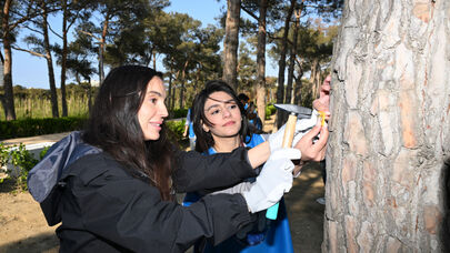 Yaşıllıqların inventarlaşdırılması üzrə layihənin növbəti mərhələsinə start verildi - FOTO