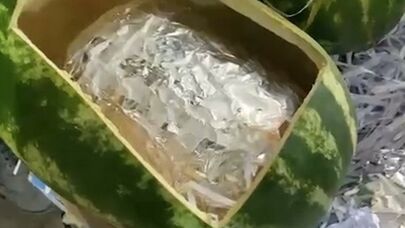 "Qarpız"ların içindən 63 kq narkotik çıxdı  - Foto