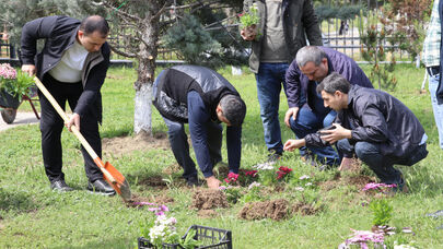 Ümummilli Liderin 102-ci ildönümünə həsr olunmuş ağacəkmə aksiyası keçirildi - FOTO