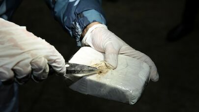 Məşhur aktrisa hava limanında narkotiklə saxlanıldı - FOTO