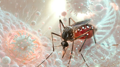 Ölümcül virus ilk dəfə Avropaya çatdı - Simptomları necədir?