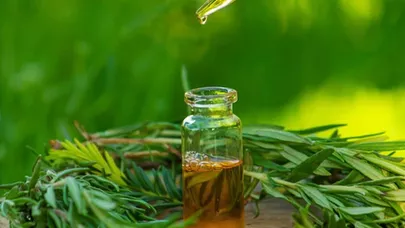 Sadəcə 1 damcısı kifayətdir: Bu yağın möcüzəvi faydaları üzə çıxdı