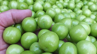 Alça yedikdən sonra bunlara diqqət edin