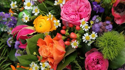 Gürcüstan Ermənistanın 10 min çiçəyini geri qaytardı