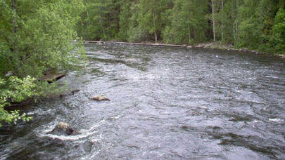 Bəzi çaylarda suyun səviyyəsi artdı