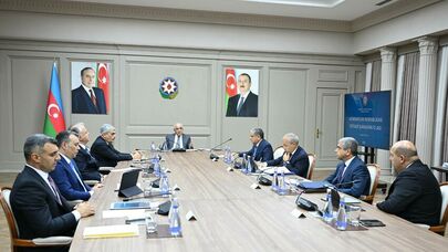 İqtisadi Şuranın növbəti iclası keçirildi