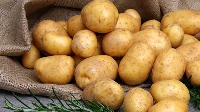 Əldə yerli məhsul, süfrədə idxal: Rusiyada brend kimi satılır, Azərbaycanda isə...