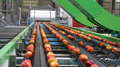 Zavod-fermer qarşıdurması: Görün məhsulun bir tonunu neçəyə alırlar