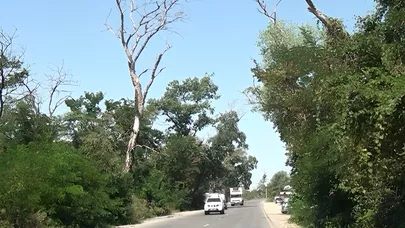 Sürücülərin kabusuna çevrilən yol - VİDEO