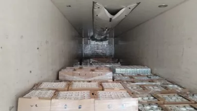 Azərbaycan bu ölkələrə üç tondan çox qurbağa ayağı ixrac etdi