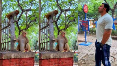 Kamil Zeynallı Hindistanda gözlənilməz addımı ilə təəccübləndirdi - VİDEO