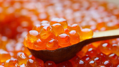 Qızılbalıq kürüsünün qiyməti KƏSKİN BAHALAŞDI