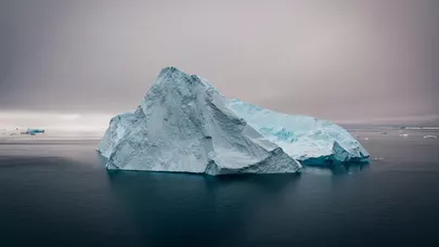 Alimlər HEYRƏT İÇİNDƏ - Antarktidada elə bir şey tapıldı ki...