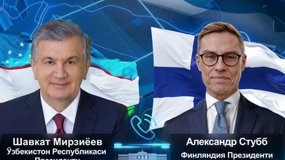 Mirziyoyev Stubbla bu məsələni müzakirə etdi