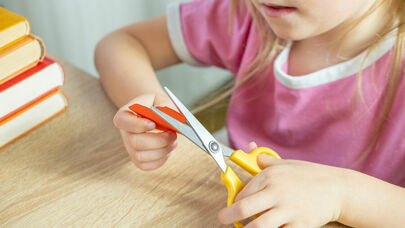 Altı yaşlı qızın adı "Sülhməramlı" siyahısında - Nə edib?