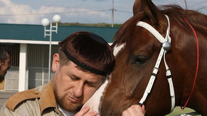 Kadırov Ukrayna kəşfiyyatını aldadıb: Oğurlanan damazlıq atını belə qaytarıb