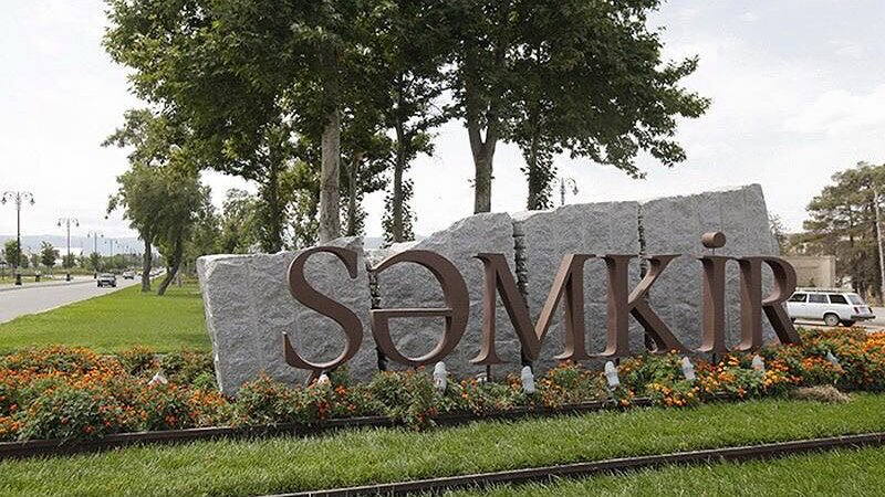 Şəmkirdə dəhşətli qətl: Oğul anasını öldürüb özünü yandırdı