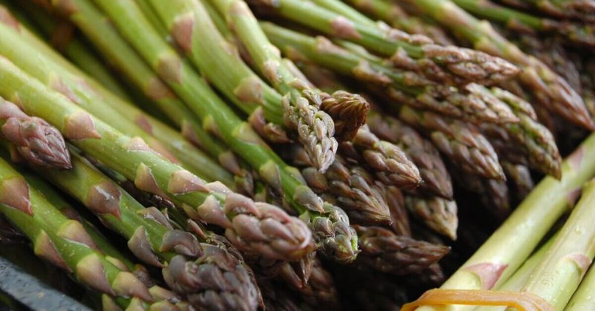 Baharda gələn şəfa