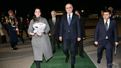 Litvanın Baş naziri Azərbaycana gəldi - Foto