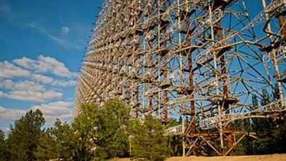 50 ildə ilk dəfə: Bu quş Çernobılda göründü - FOTO 