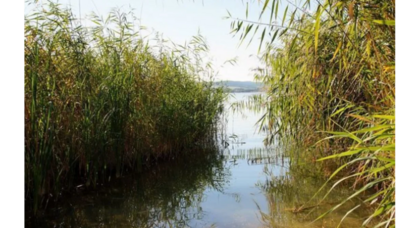 Azərbaycanda 9 yaşlı uşaq faciəvi şəkildə öldü