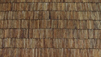 Rusiya Türkiyənin bu məhsulundan imtina etdi