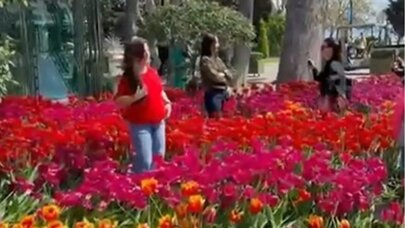 Bulvarda gülləri əzənlər polisə çağırıldı - VİDEO